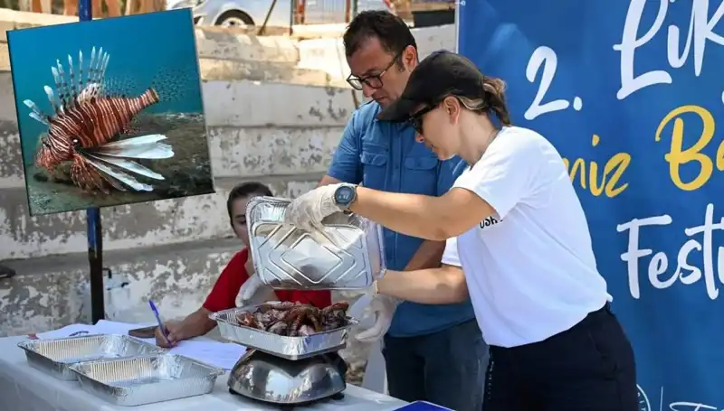 Antalya’da İstilacı Aslan Balığı Avlama Yarışması: Doğanın Dengesini Koruma Mücadelesi