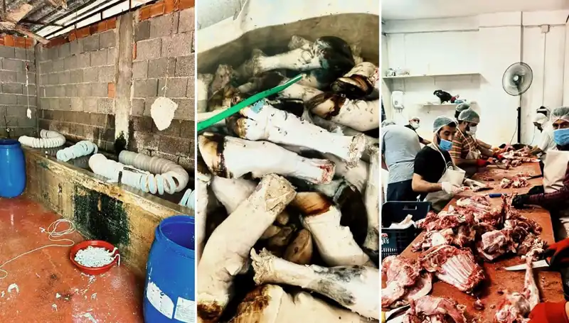 Adana’da Şok Eden Operasyon: Yüzlerce Kilo Kaçak Paça Ele Geçirildi!
