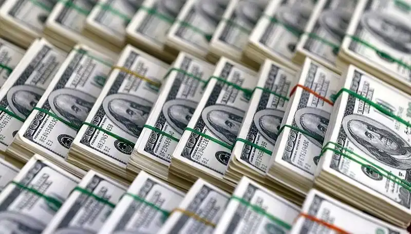 Doların Hızla Yükselişi: Ekonomistler Uyarıyor ve Gelecek Beklentileri